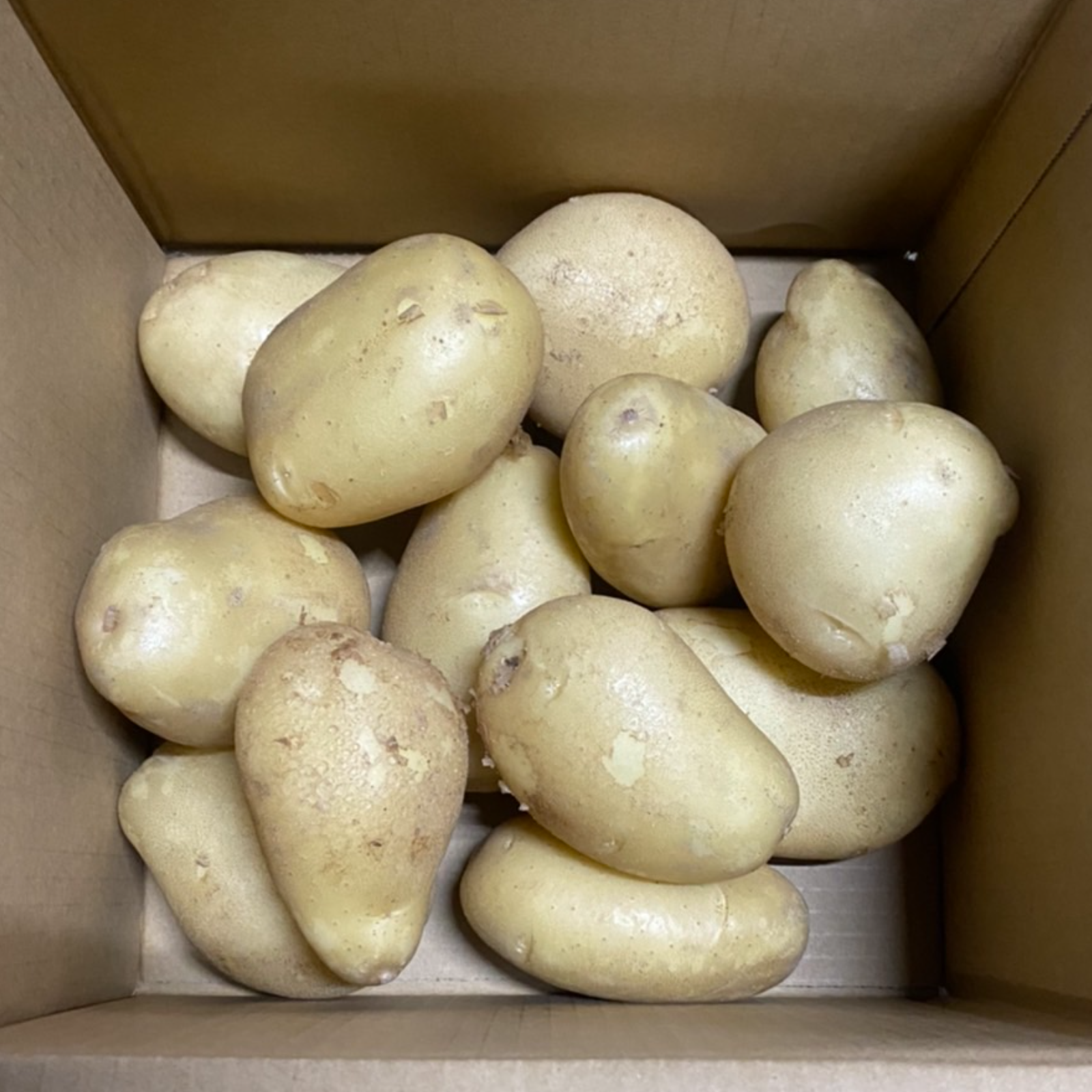 新じゃが箱込2kg】じゃがバター最強 掘りたてメークイン ｜ 野菜 