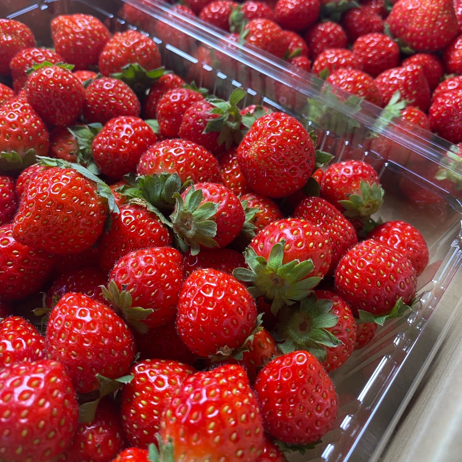 夏秋いちご【加工用1.2キロ】 | 果物/いちご 産直アウル 農家から直接