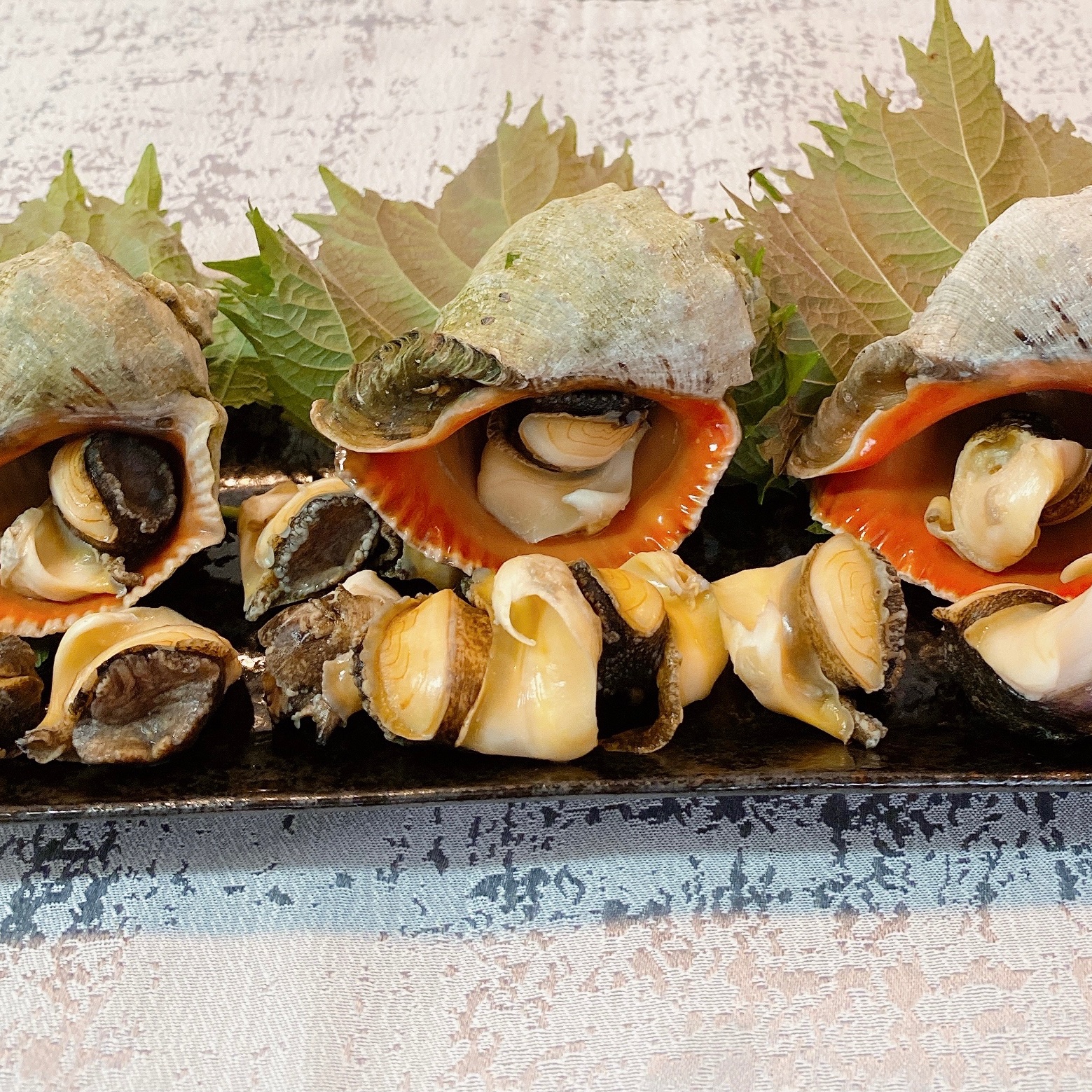 天然殻付きニシ貝 | 魚介類/その他魚介 産直アウル 農家から直接野菜