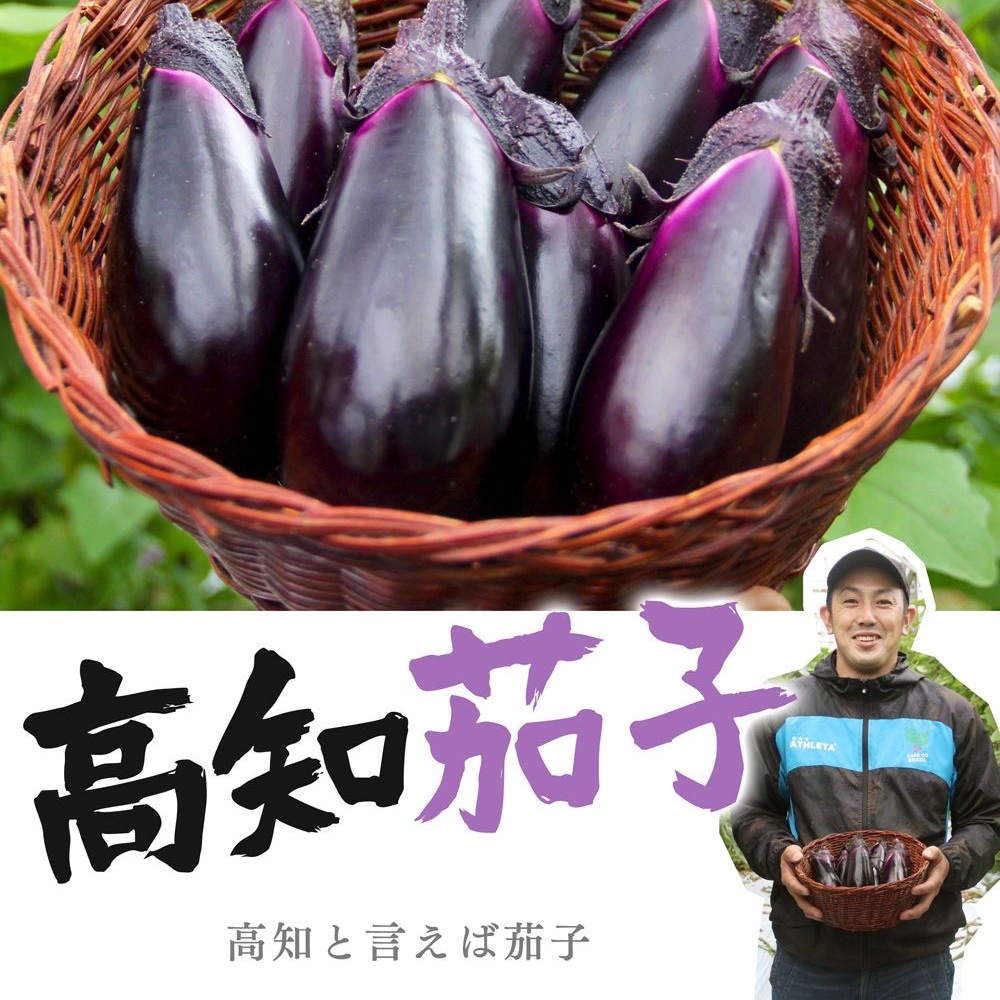 絶品✨高知なす🍆 ｜ 野菜/茄子 産直アウル 農家・漁師など生産者から