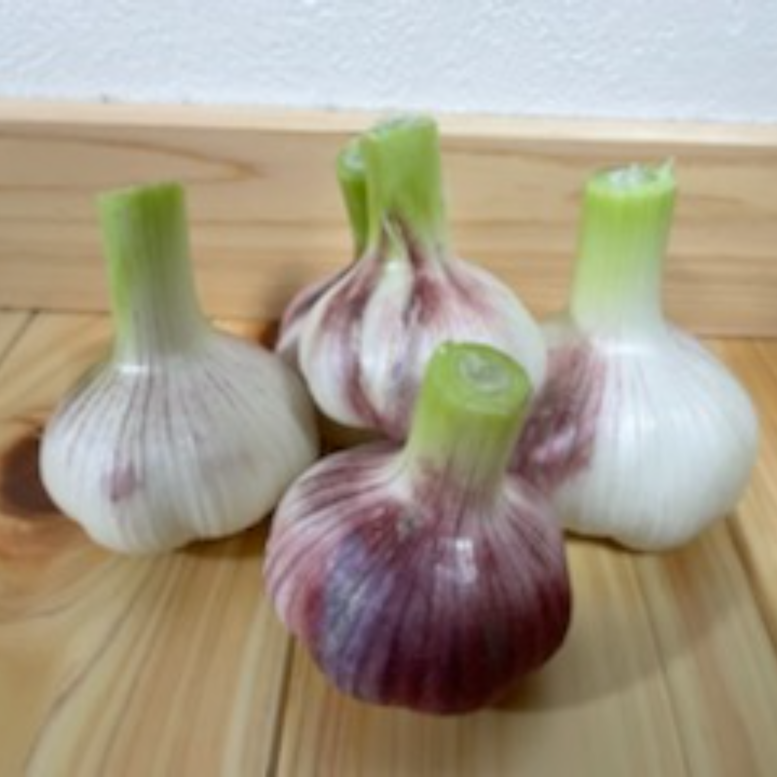 専用出品　農薬未使用　土佐ニンニク2.5kg 専用出品 農薬未使用 土佐ニンニク2.5kg 【公式通販】