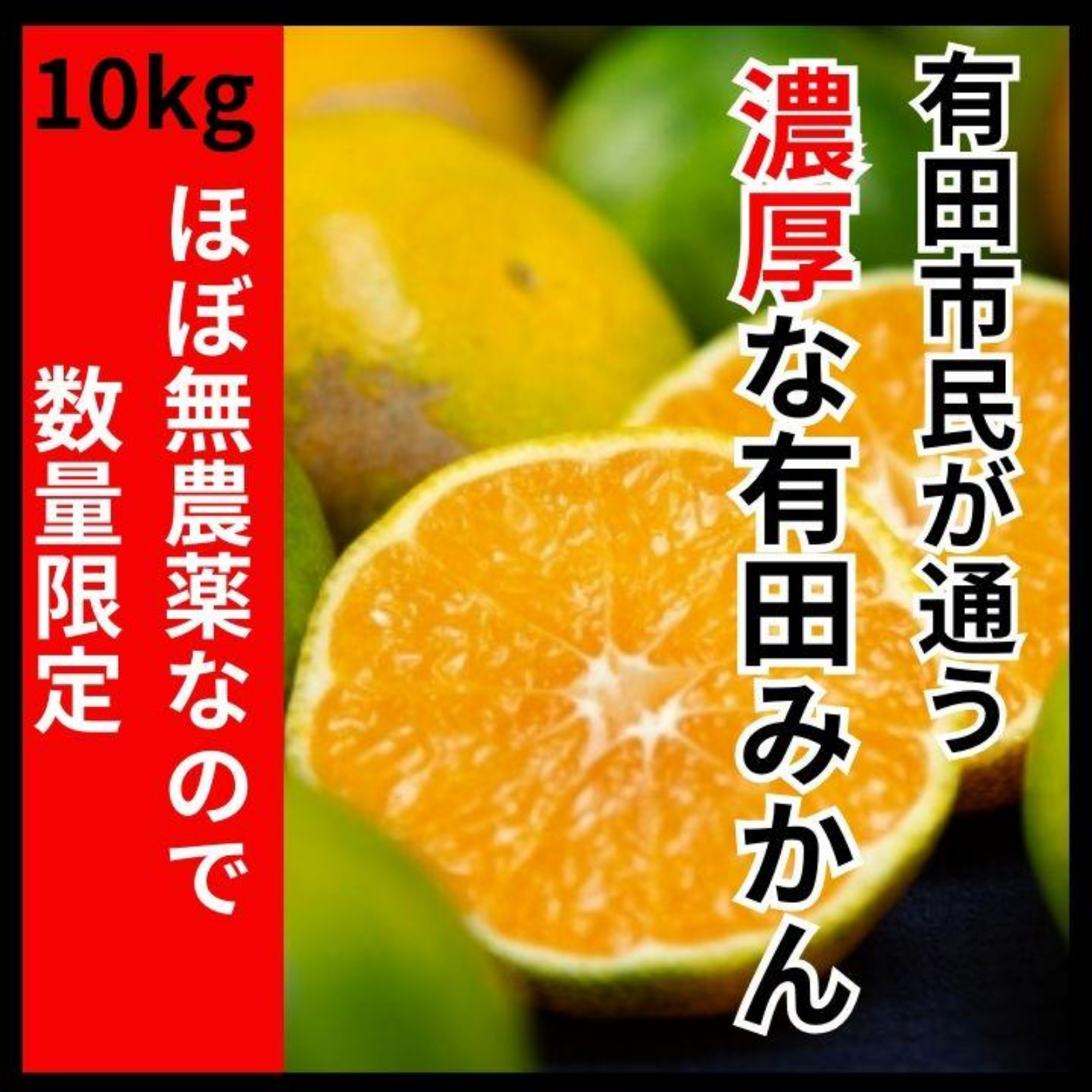 M39.40.専用品 農薬不使用 浜名湖ミカン 極早生10kg 早生10kg 【公式通販】