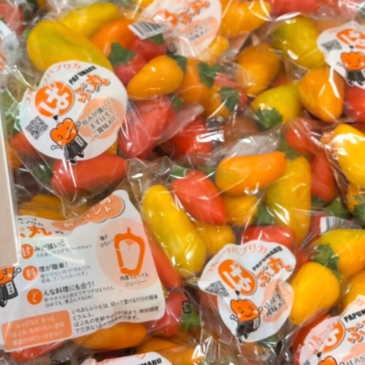 6d1be210a3b6da2a8464f40070e4f4