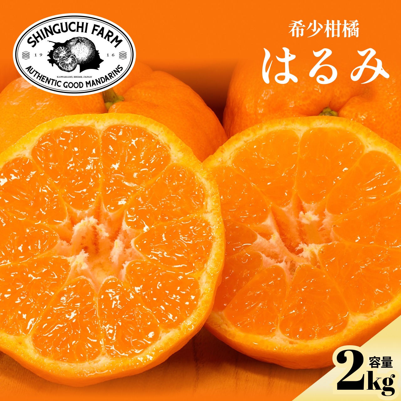 希少・プチプチ食感】はるみ 2kg 春の極上柑橘 ｜ 果物/オレンジ
