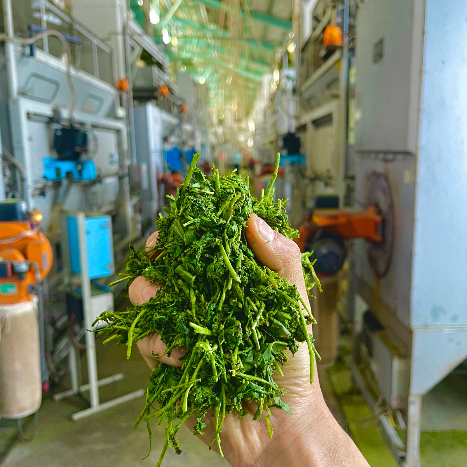 US三軒茶屋バッグ みずたま農園製茶場の最新投稿「新登場！」｜産地直送の販売・育成情報