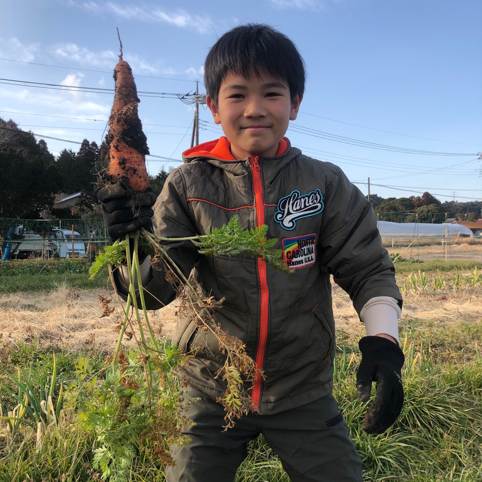 農薬化学肥料不使用】葉付き人参 5kg ｜ 野菜/人参 産直アウル 農家
