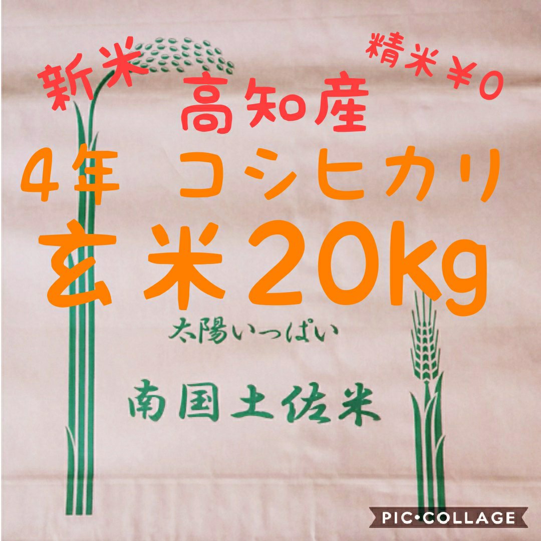 高知県産 令和4年産 コシヒカリ玄米20㎏(袋込み)