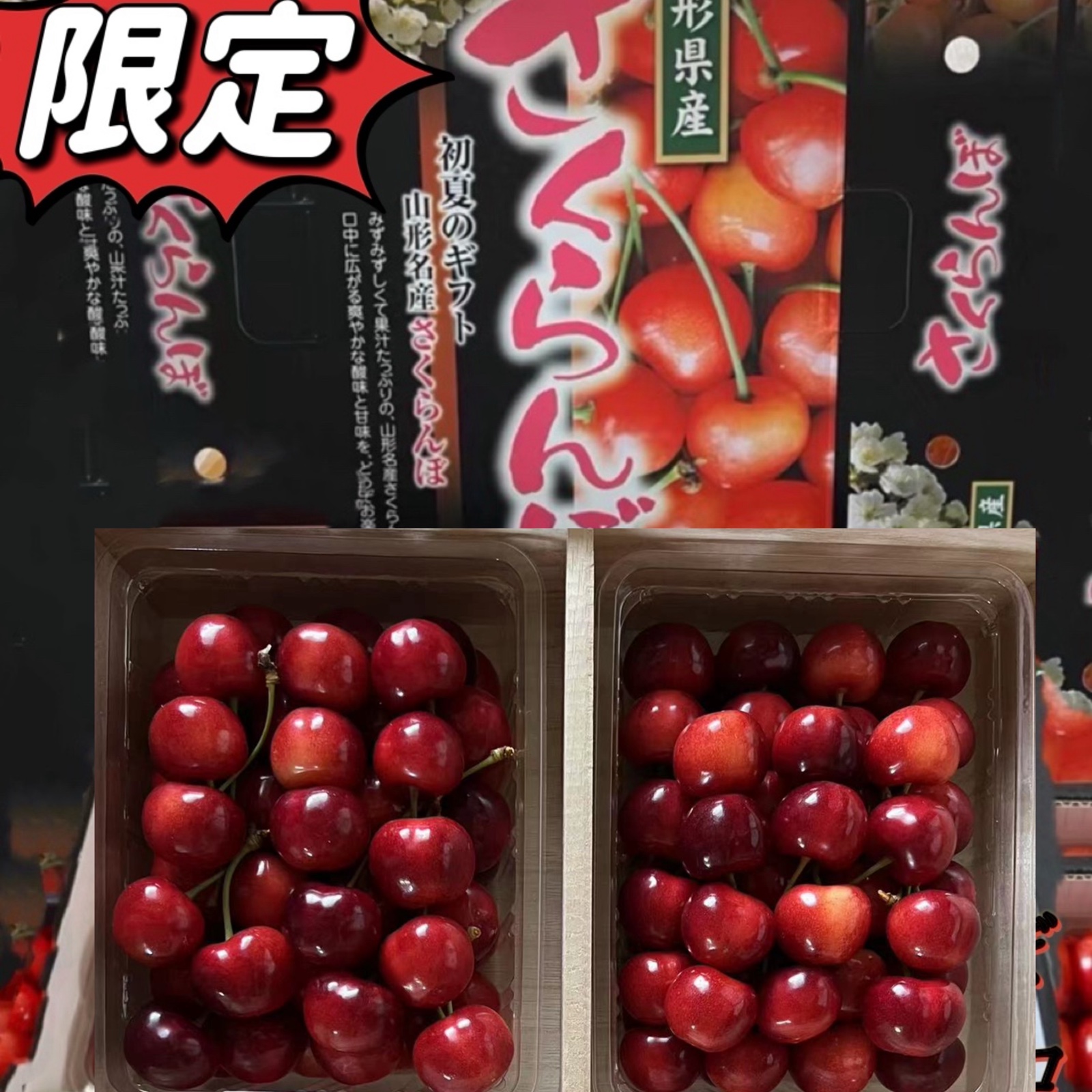 山形県産⑪やまがた紅王わけあり1キロ 山形県産さくらんぼ やまがた紅王 1kg 贈答用 | 果物/さくらんぼ