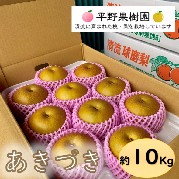 熊本県産秋月梨10〜24玉入り5k 4箱 清流球磨梨・あきづき 約10Kg【5kg箱(5〜14個入り)を2箱重ねてお届け