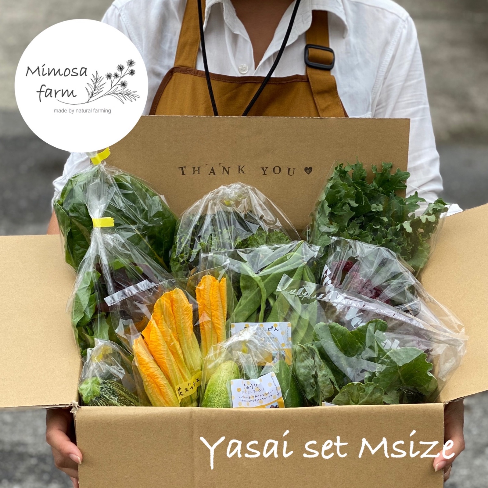 旬の野菜セットM/8-10品目【自然栽培】無肥料無農薬 ｜ 野菜/野菜 
