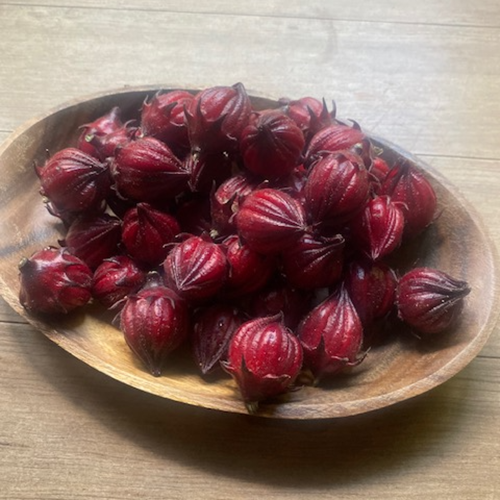 ローゼルさま用 Now is the time to sow! Hibiscus and Roselle seeds - YouTube