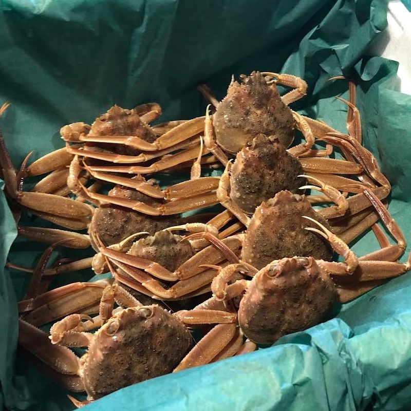 6f58ea3750ebda813996b6e8231173