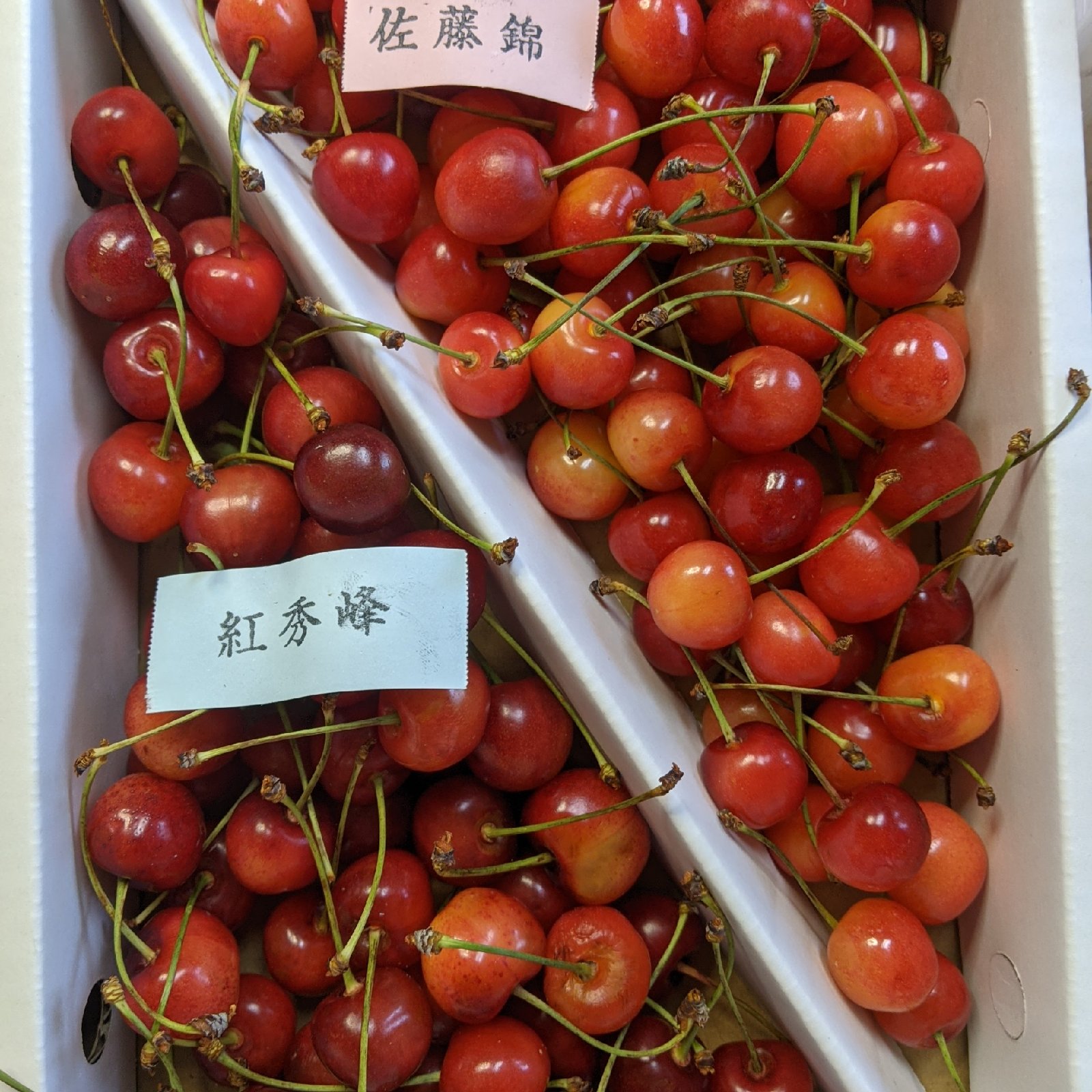 佐藤錦と紅秀峰 ｜ 果物/さくらんぼ 産直アウル 農家・漁師など生産者