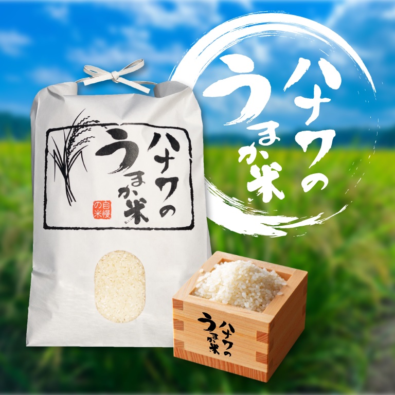 令和8年新米】コシヒカリ 5kg 精米 豊かな甘みと強い粘りのある