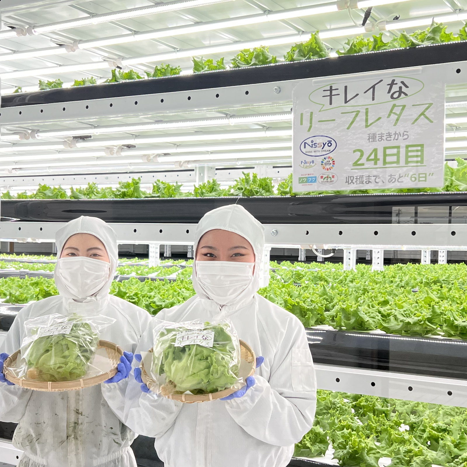 Nissyo-Farm（三重県・鈴鹿市）｜生産者詳細｜産直アウル