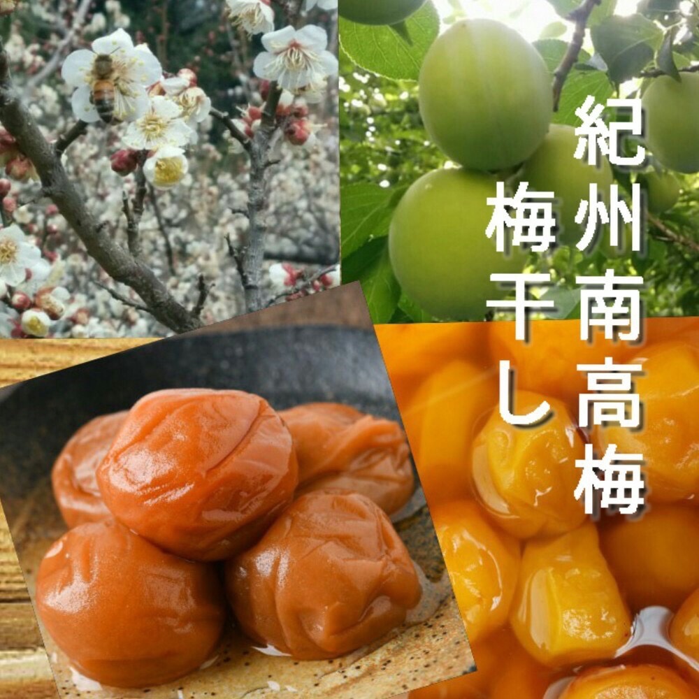 期間限定】はちみつ梅干し 1.1kg 紀州南高梅 | 加工品/梅干 産直アウル