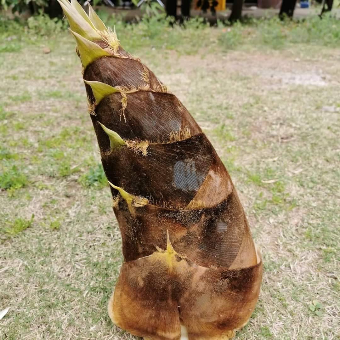 700b23c71b4a3b3dceed4086c94357