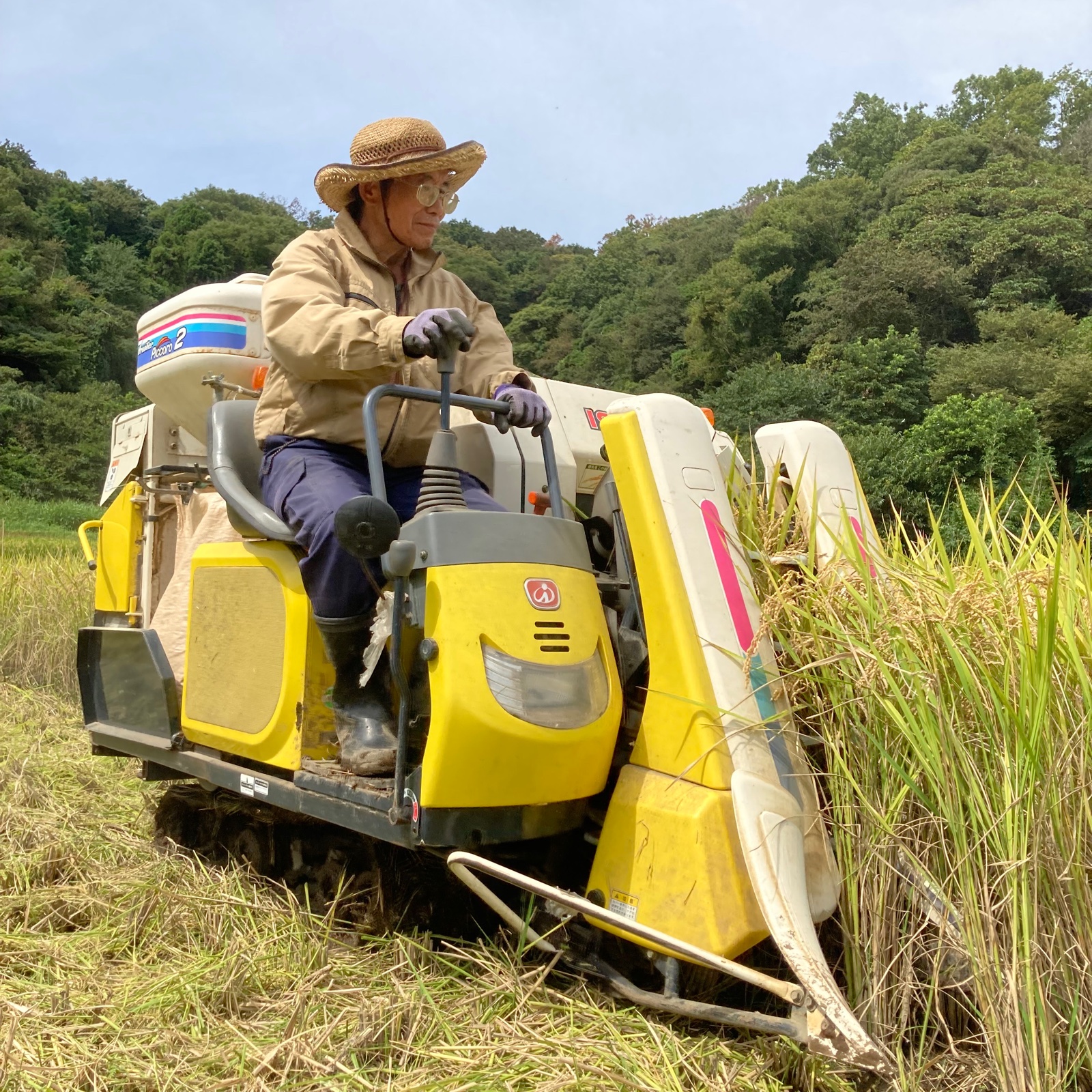 20kg 自然栽培米「はるみ」精米（白米）農薬不使用