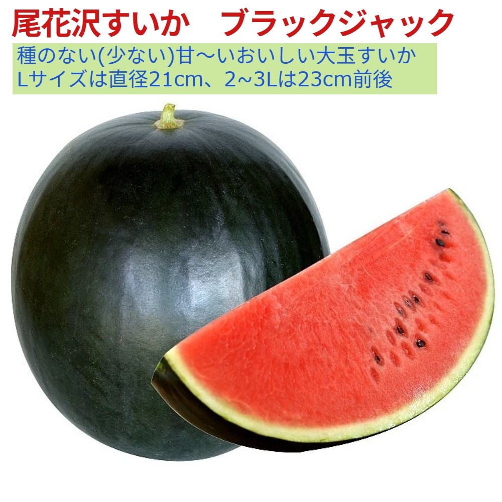 さ*ん様 尾花沢すいかブラックジャック２Ｌサイズ１個入り 旬祭限定】《予約》おいしい尾花沢大玉スイカ 種のない(少ない