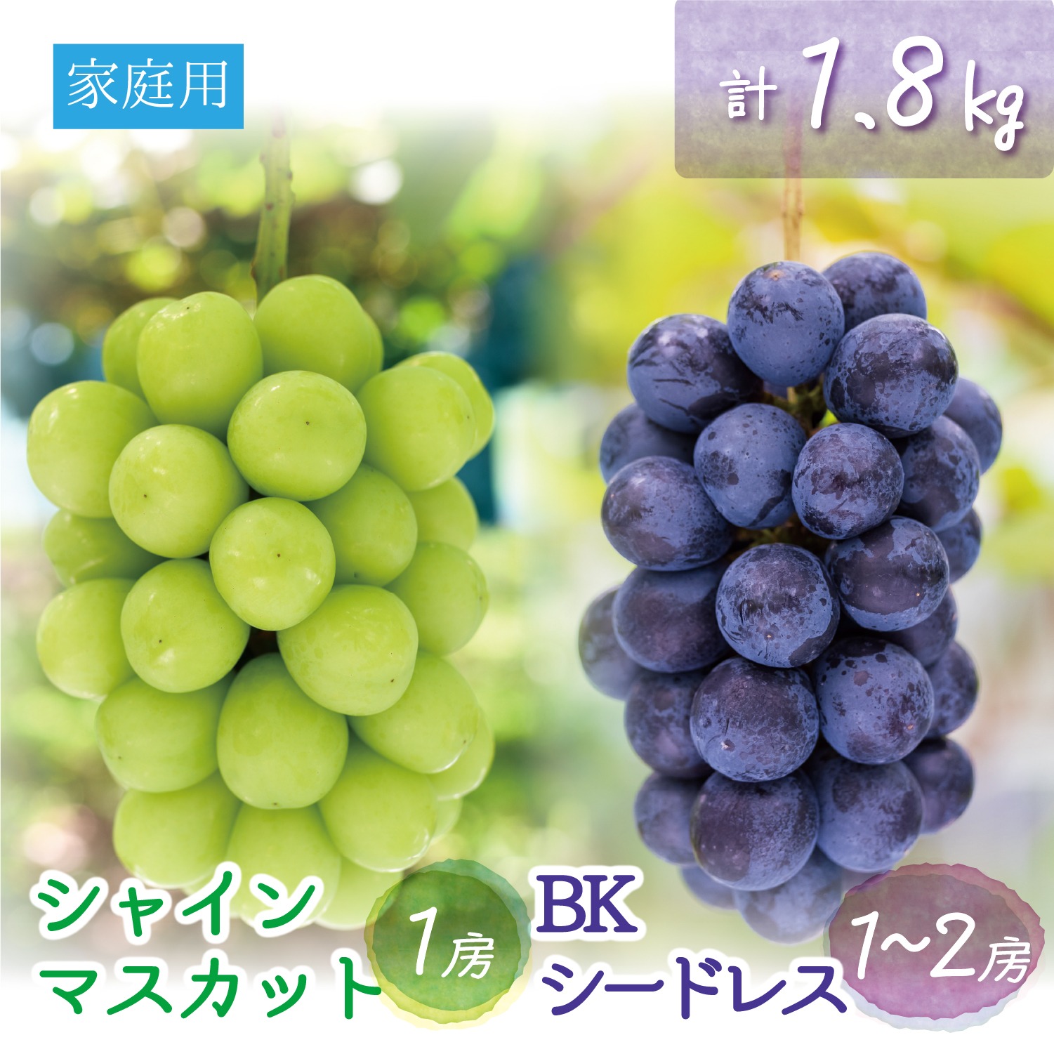BS-2家 花笑み農園 岡山の『BKシードレス＆シャインマスカット』1.8kg