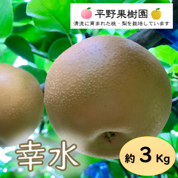 清流球磨梨・幸水 3kg箱(3〜7個入り) ｜ 果物/梨 産直アウル 農家 