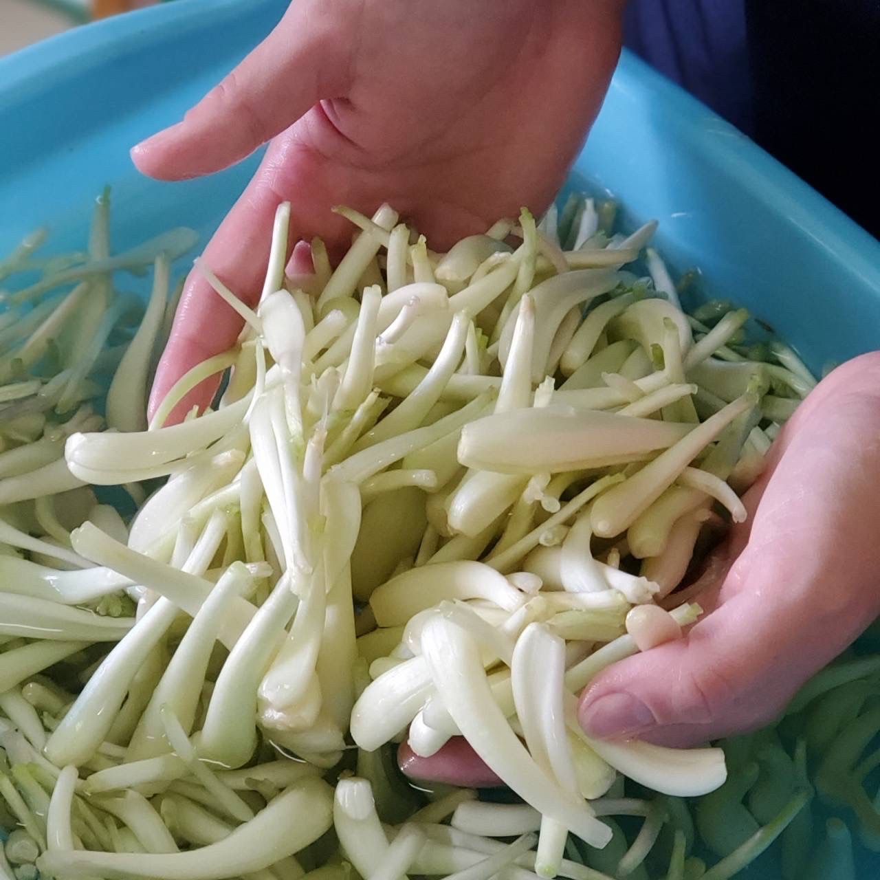 大好評！島らっきょう 1kg ｜ 野菜/その他野菜 産直アウル 農家・漁師