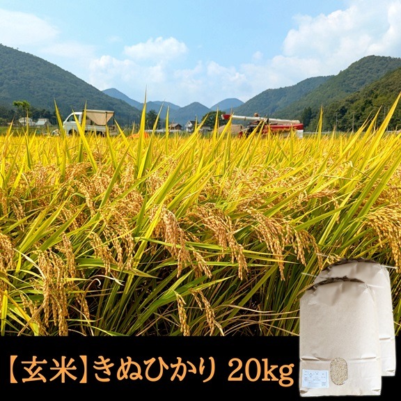 きぬひかり【玄米】 20kg 令和7年産 京都府京丹波町産 | 米・穀物/玄米