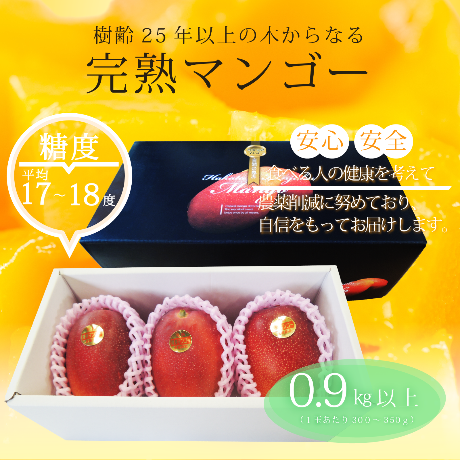 産直アウル限定】【夏ギフト】樹齢25年以上の木からなる糖度約17～18度