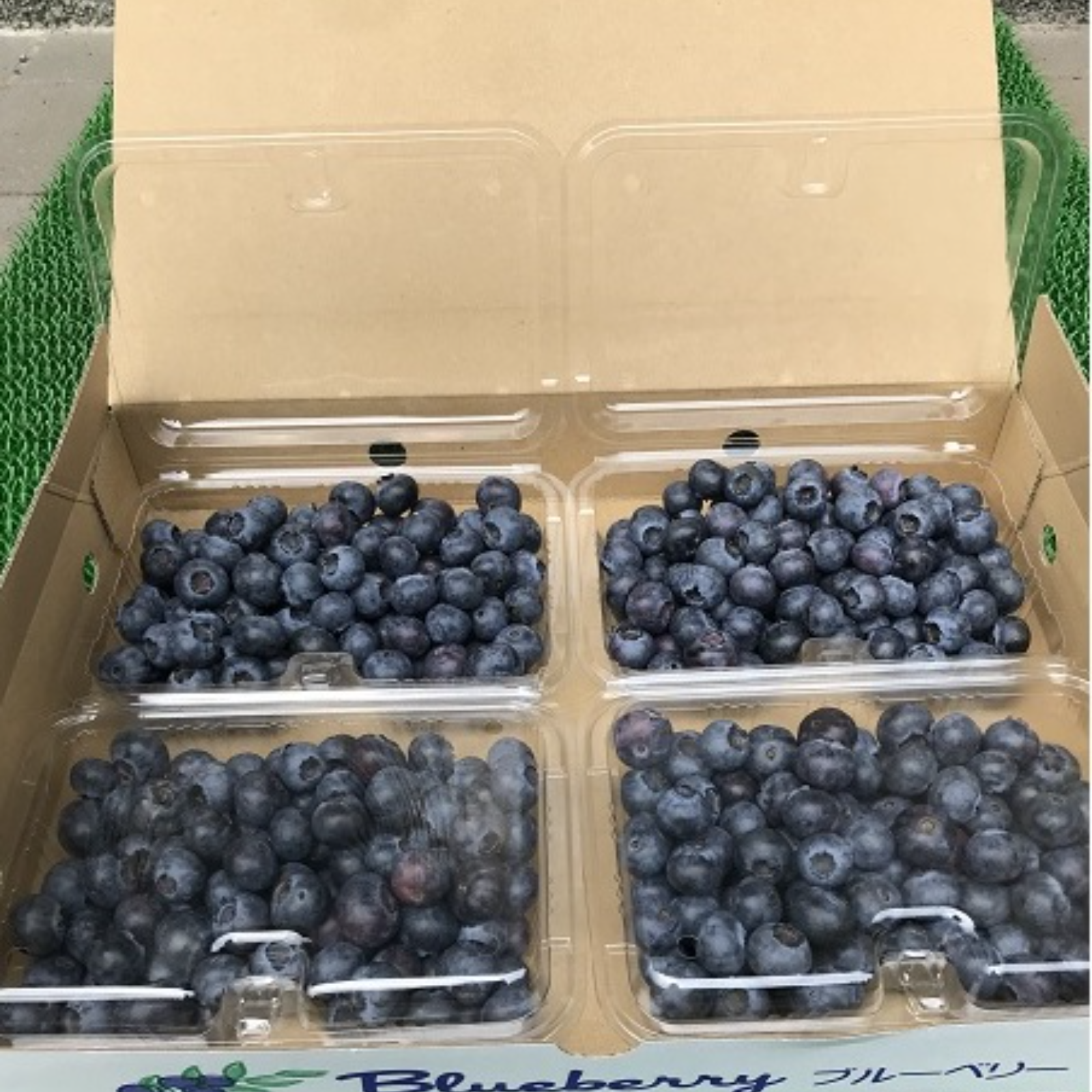 ブルーベリー（完熟・生）農薬不使用 1kg | 果物/ベリー類 産直アウル