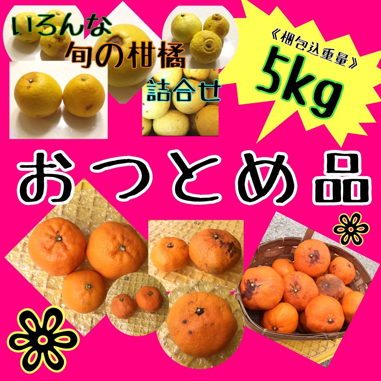 みかん　複数購入品 四国 九州 本州のお客様用】【おつとめ品】数品種 おみかん 詰合せ【お