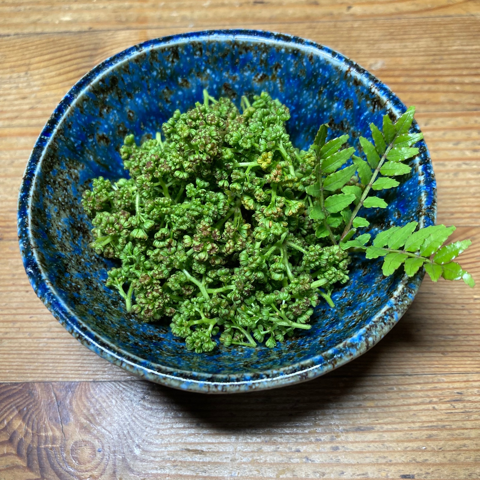 滋賀県産　花山椒　100g 滋賀県産 花山椒100g（選別品） - メルカリ