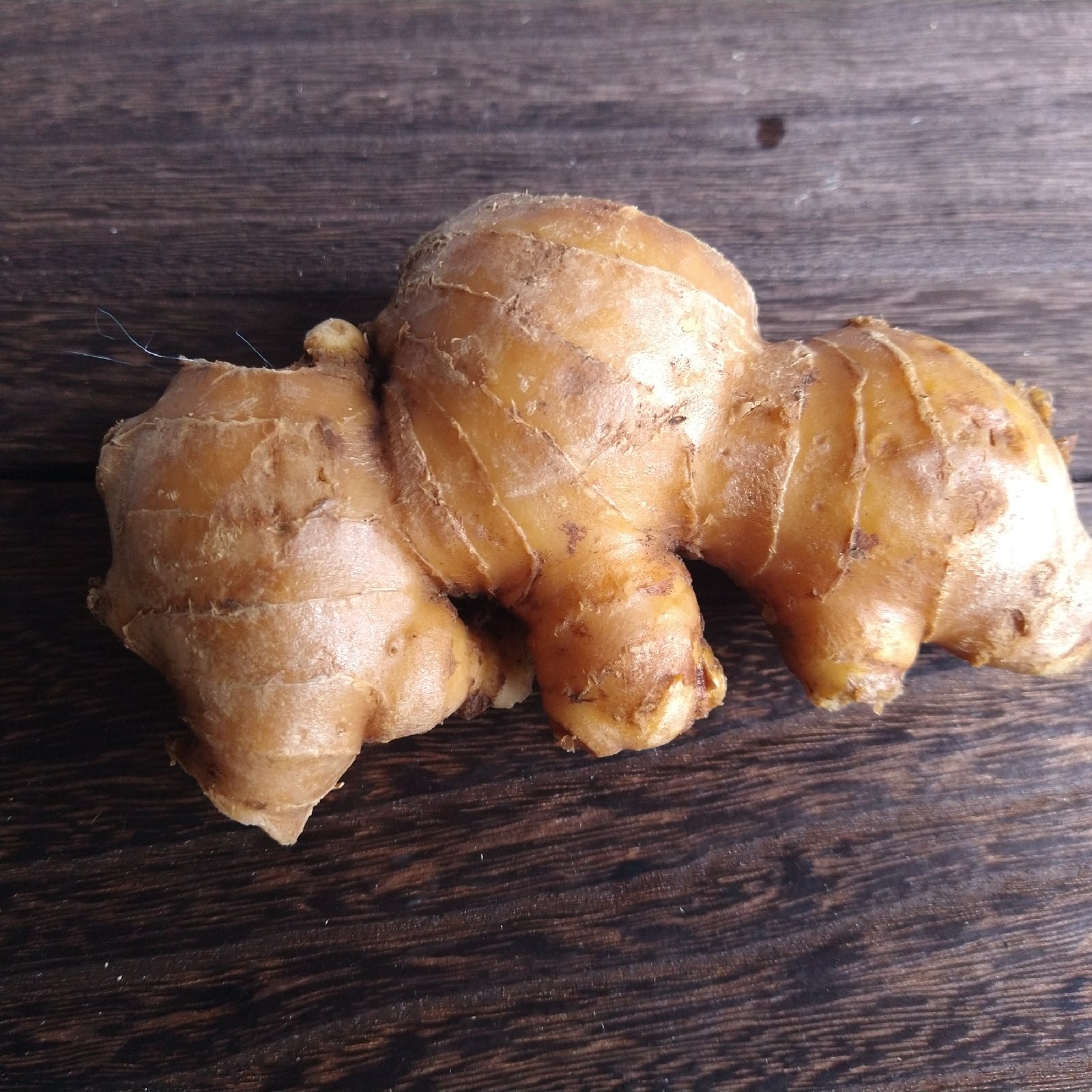 ハナコの親生姜 4kg【送料込み】 | 野菜/薬味 産直アウル 農家から直接