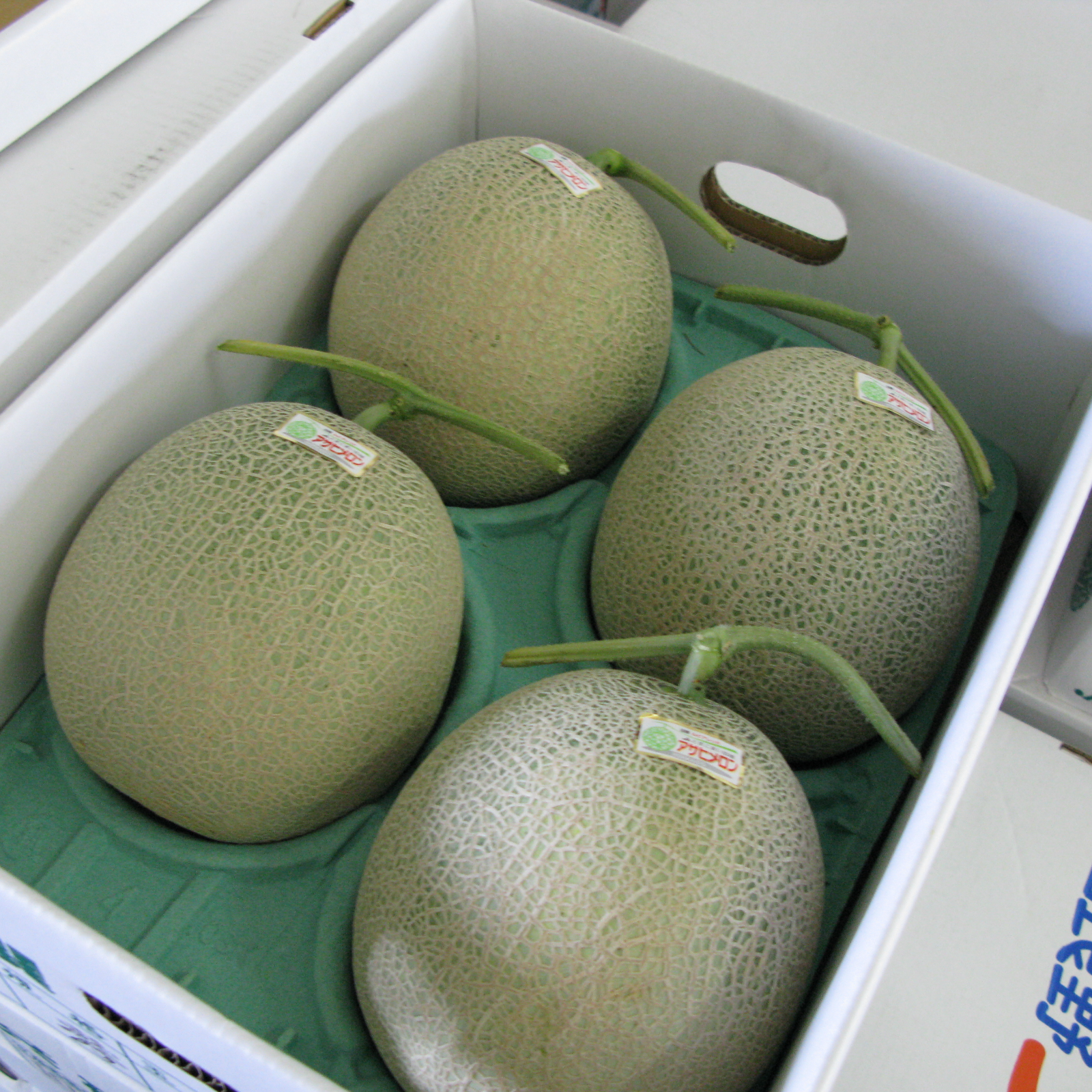 二箱梱包【訳あり品】北海道産　赤肉メロン　5玉入り　一箱8kg