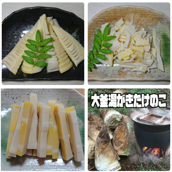 調理の手間なし！湯がきたけのこ3点セット ｜ 野菜/たけのこ 産直
