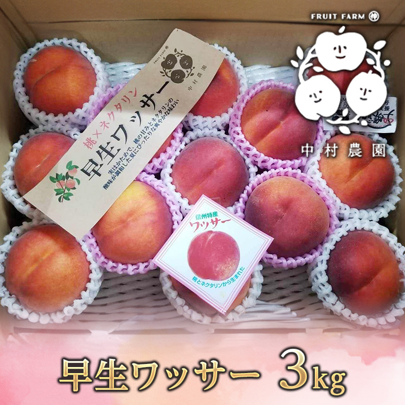 ワッサー桃4.5kg*3箱クール便 桃 早生 ワッサー 3kg ｜ 果物/もも 産直アウル 農家・漁師など生産者