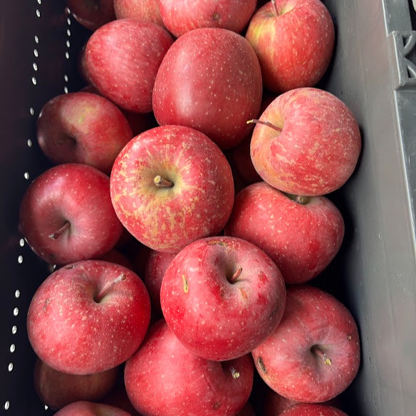 青森りんごを直送～ ハネ（規格外品）『完熟サンふじ』3Kg 9個から