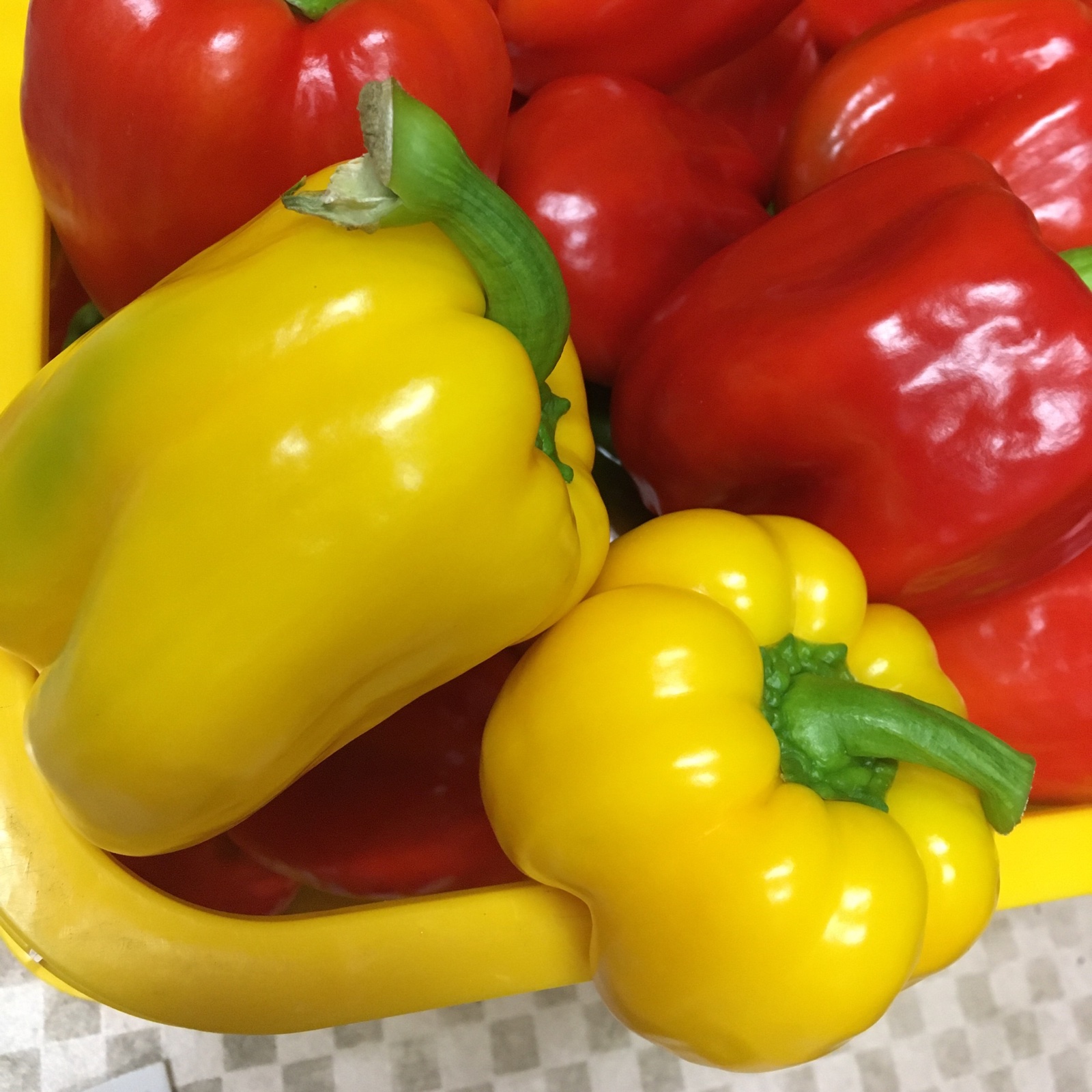 送料無料 訳ありパプリカ3キロ以上 13玉 15玉 野菜 パプリカ 産直アウル 農家から直接野菜などの食材を購入できる産地直送の宅配通販サイト