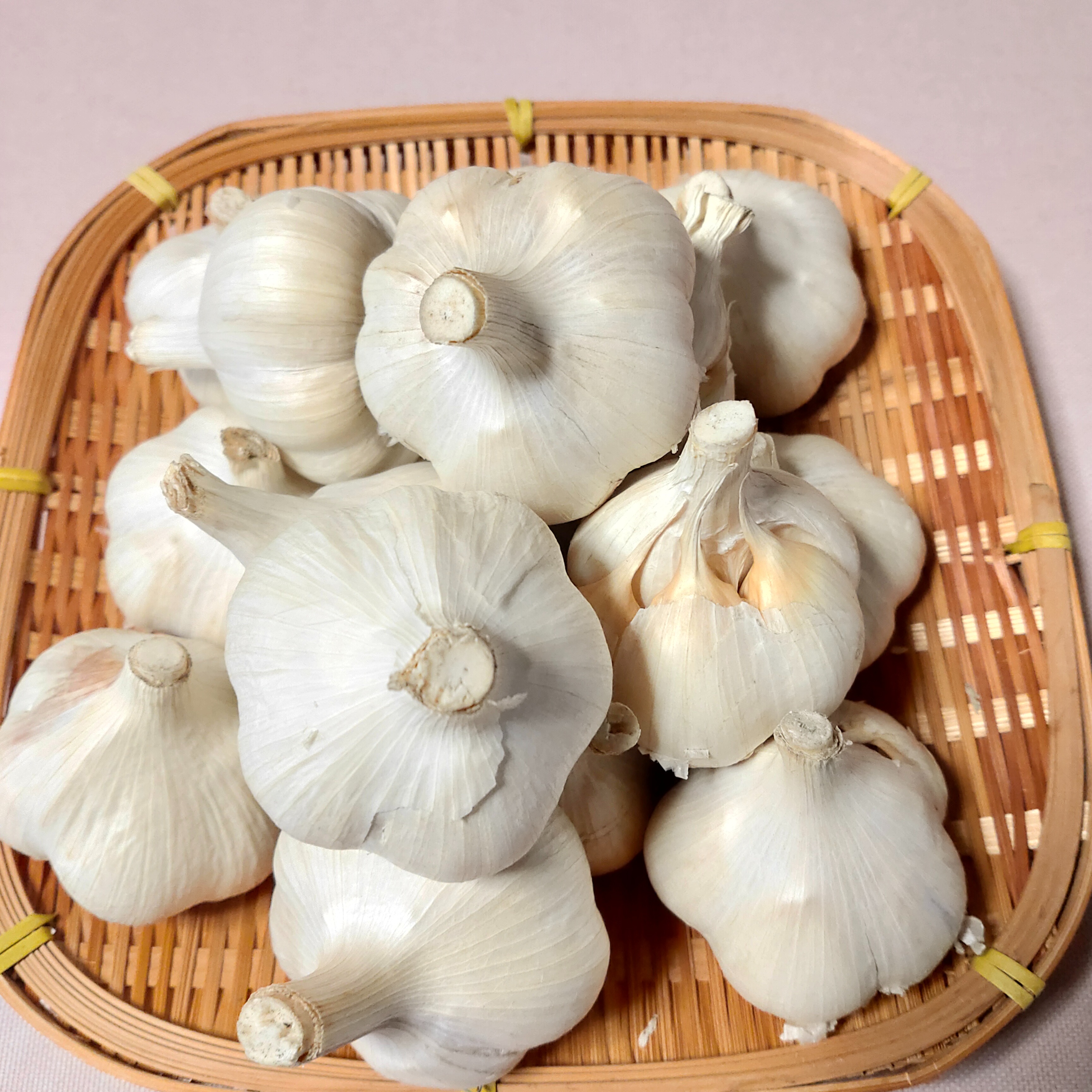 その他 ニンニク 北海道産 希少種