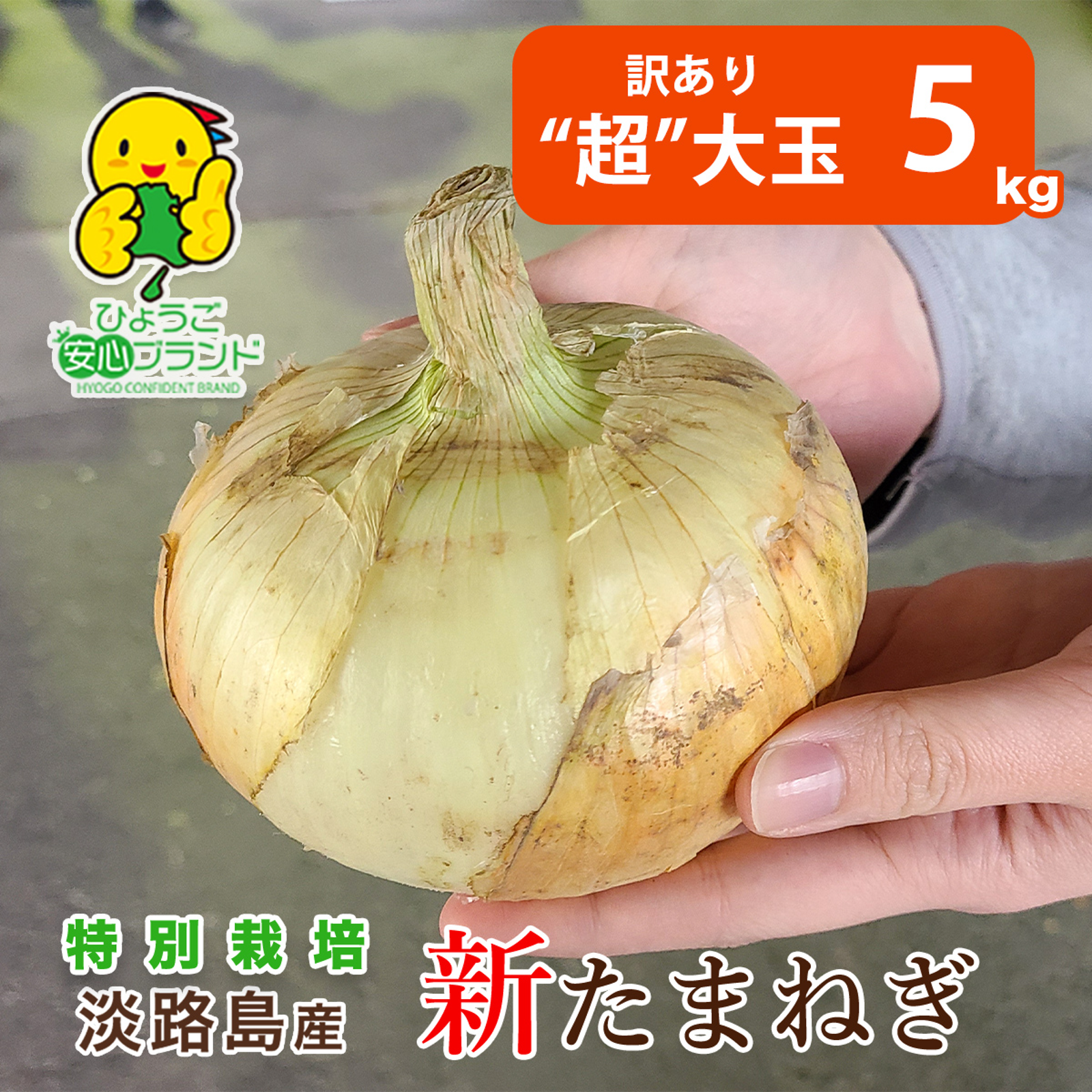 淡路島新玉ねぎ 訳あり3キロ - 野菜