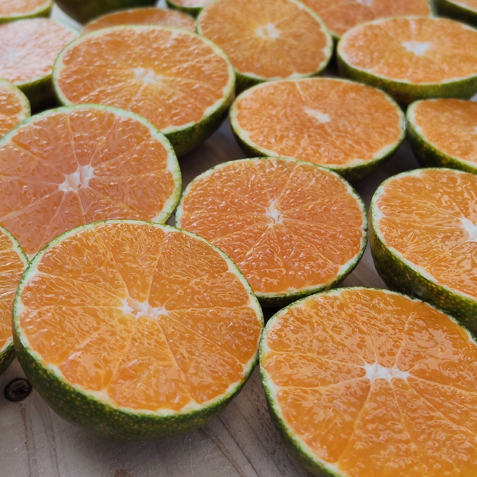 有田みかん【小粒小玉】8kg(箱込) ｜ 果物/温州みかん 産直アウル 農家
