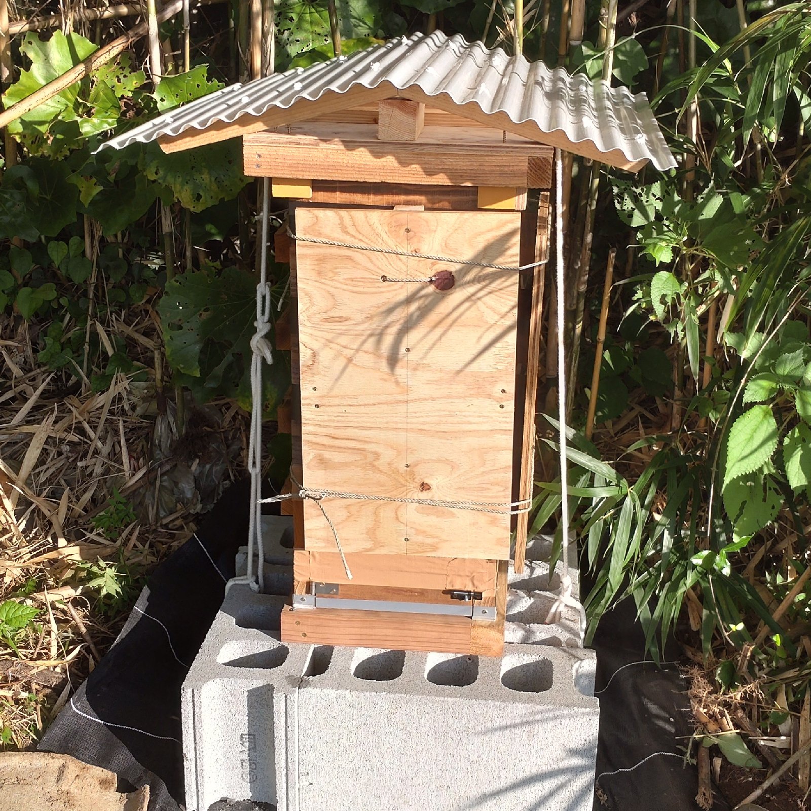 日本蜜蜂 はちみつ 結晶化はちみつ 百花蜜 150g×2個セット | はちみつ