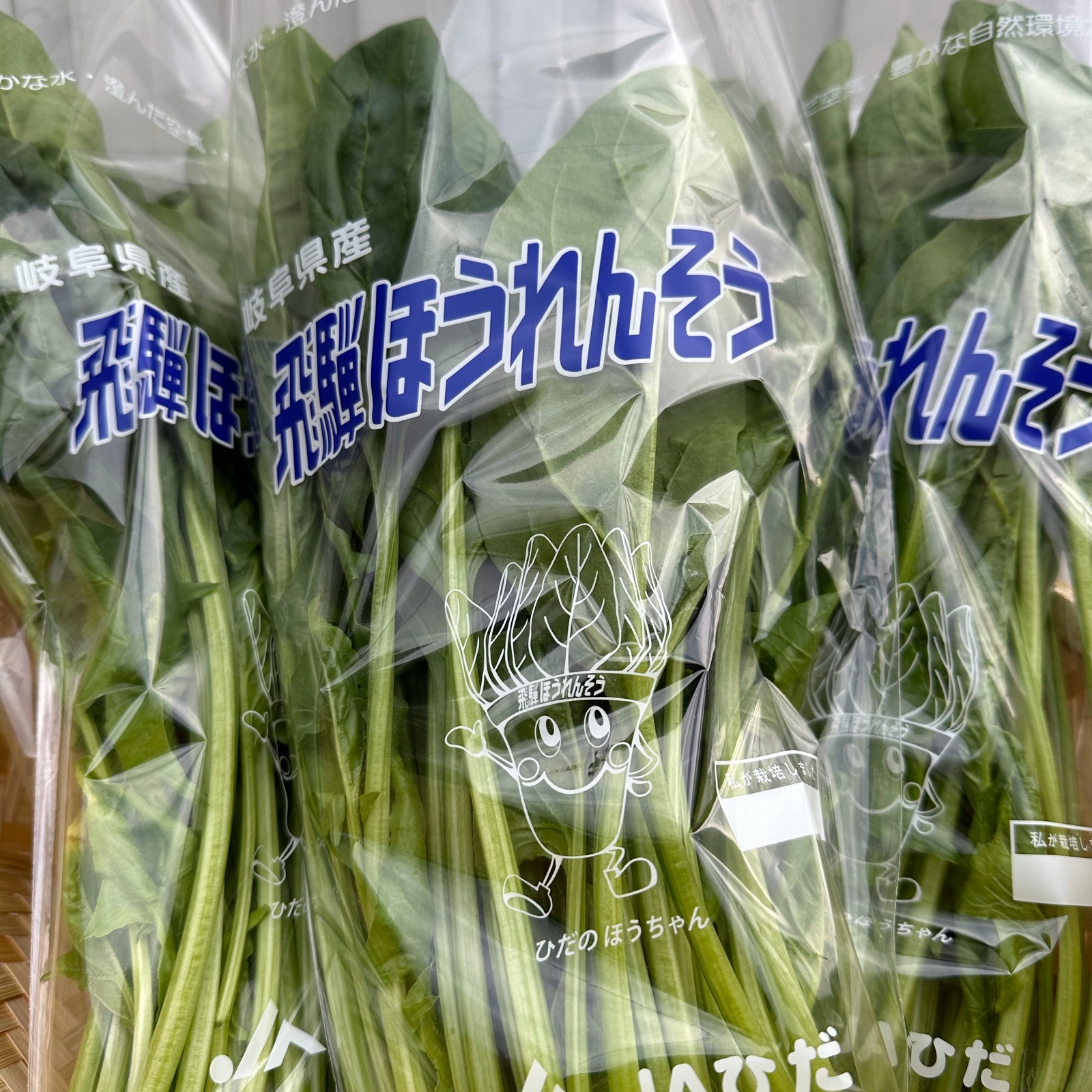 岐阜県 飛騨産ほうれん草 ｜ 野菜/ほうれん草 産直アウル 農家・漁師