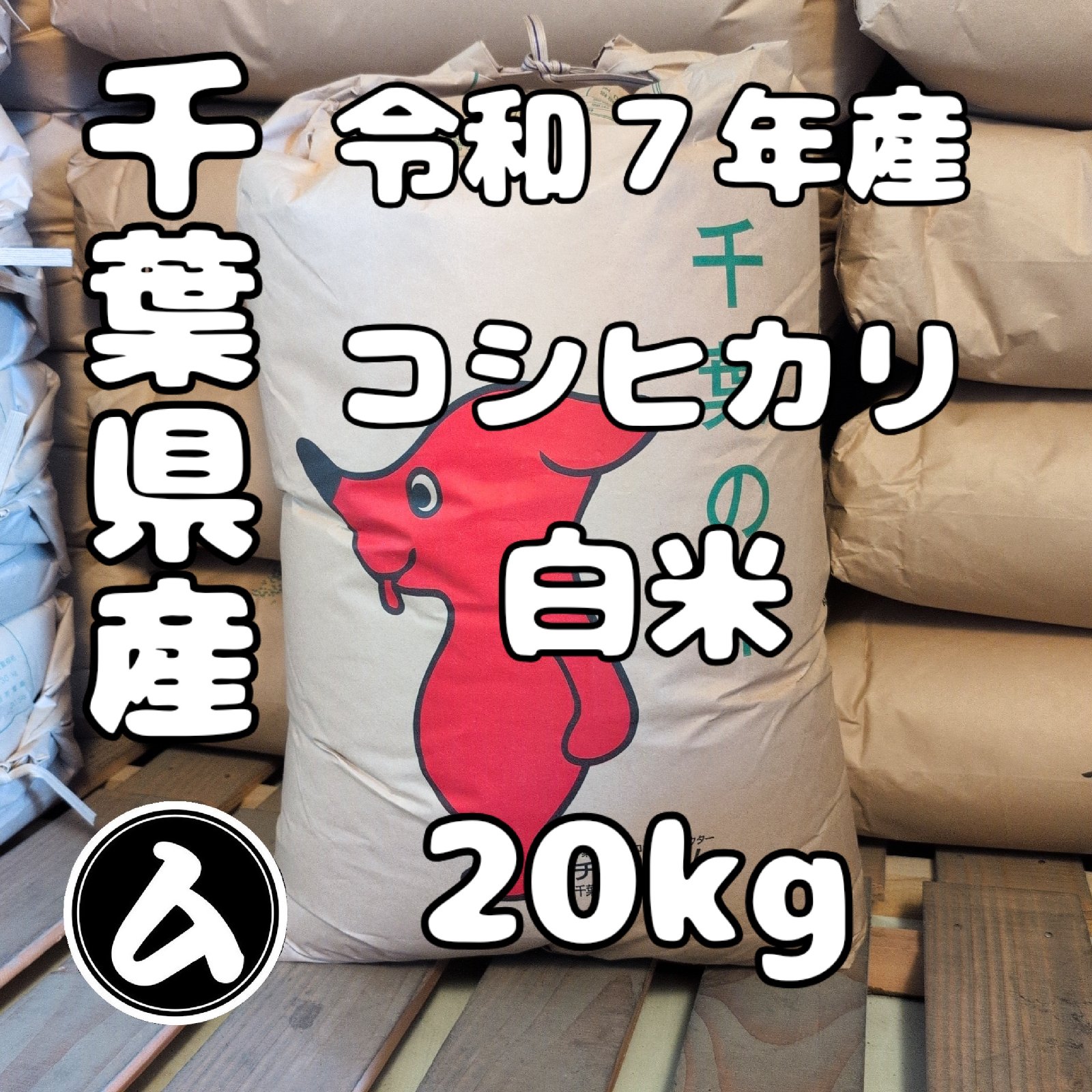 千葉県産 令和7年産 コシヒカリ 白米 20kg ｜ 米・穀物/米/精米 産直 