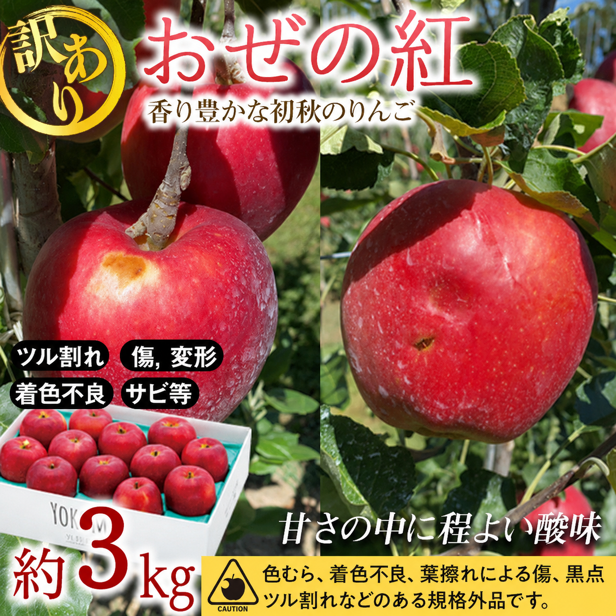 りんご【おぜの紅】訳あり約3kg 2026年度予約受付中 香り豊かな初秋の