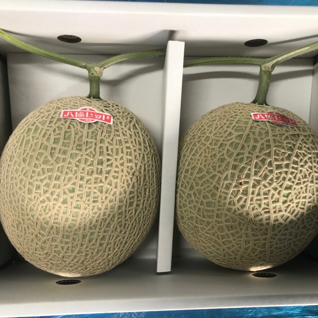 果物 アールスメロン熊本 JAかもと 温室メロン 赤肉 百合 3L 5玉