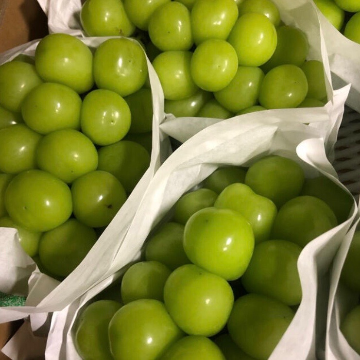 山梨県産ぶどう⭐️シャインマスカット⭐️贈答用共選品⭐️9房入り 箱  