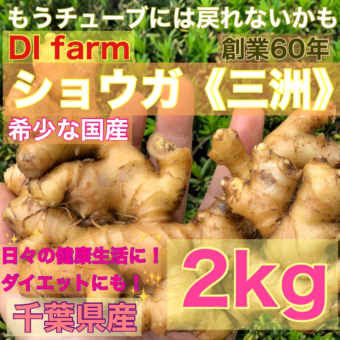 生姜 三洲》しょうが （土付き）2kg | 野菜/薬味 産直アウル 農家から