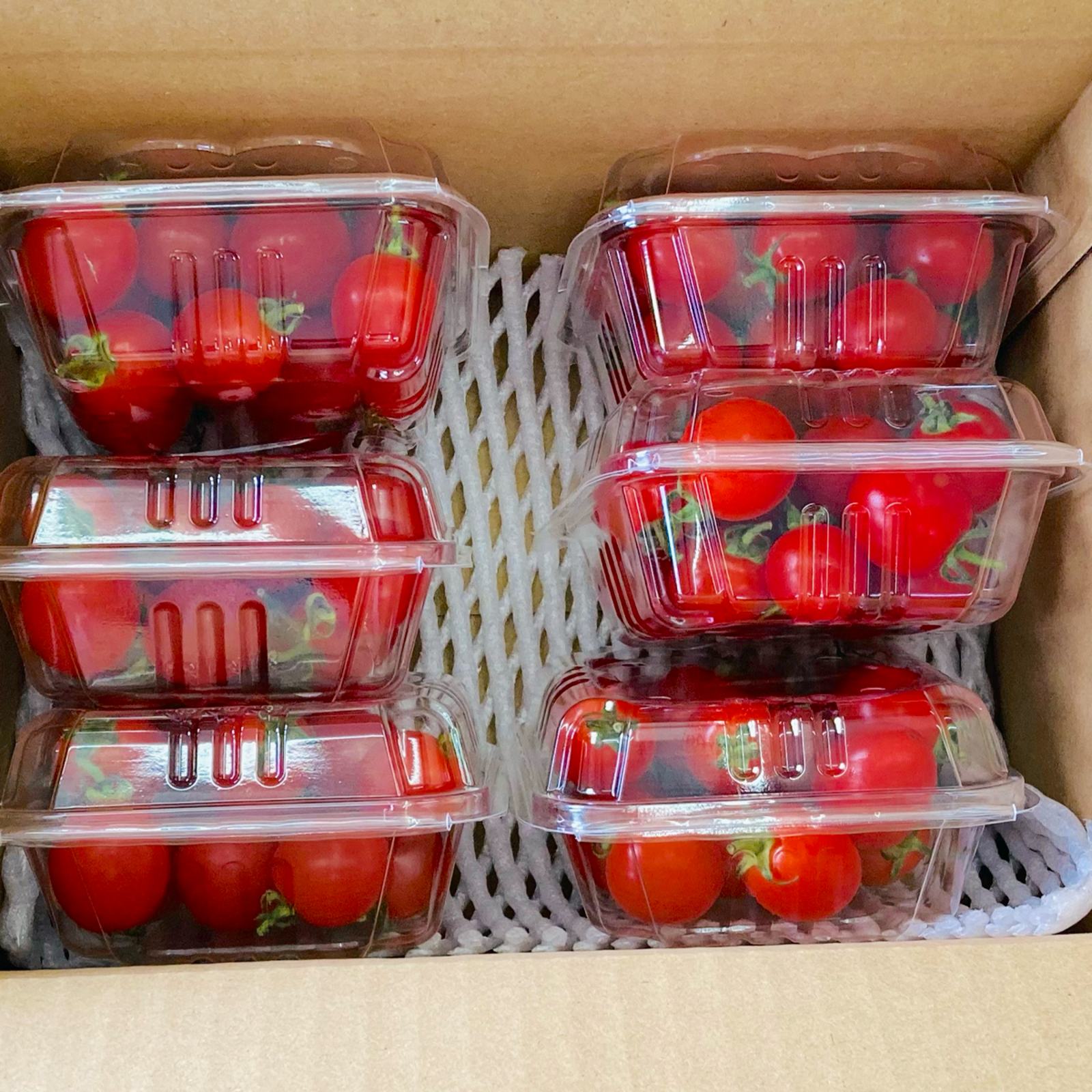 熊本県産ミニトマト「茜とまと９キロ」 d41f34df2e3872f977de1662399e9f