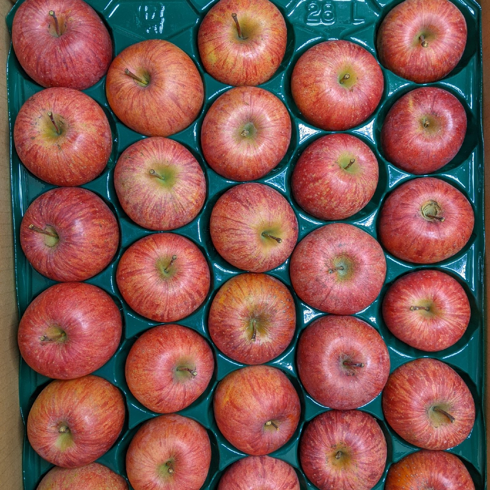 青森県産CA　ふじ　赤特　１箱２段　28玉入り ふじりんご28玉 | 果物/りんご 産直アウル 農家から直接野菜などの食材