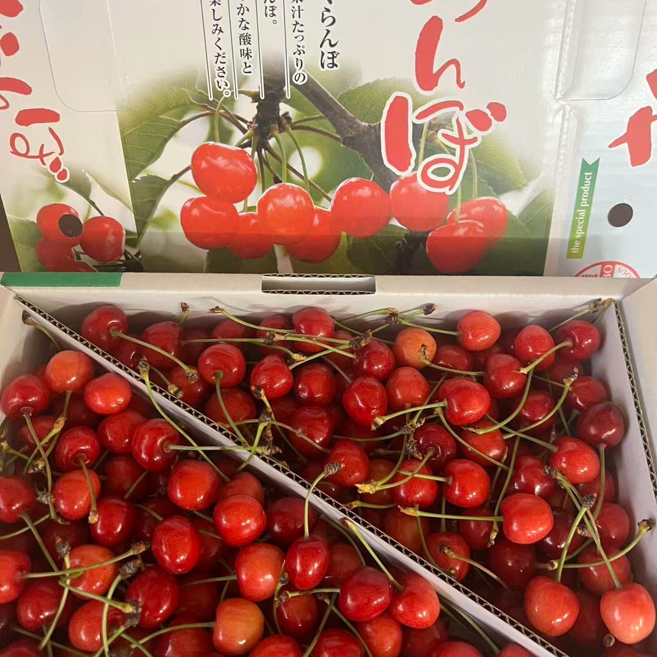 2箱 限定商品 山形県産さくらんぼ佐藤錦 1kg 家庭用 S、Mサイズ